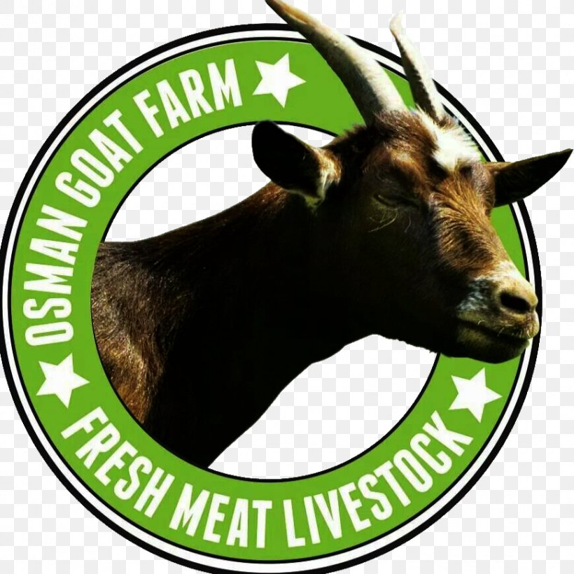 Osman Goat Farm Clock Cattle Fan, PNG, 869x870px, Goat, Cattle, Cattle Like Mammal, Clock, Cow Goat Family Download Free