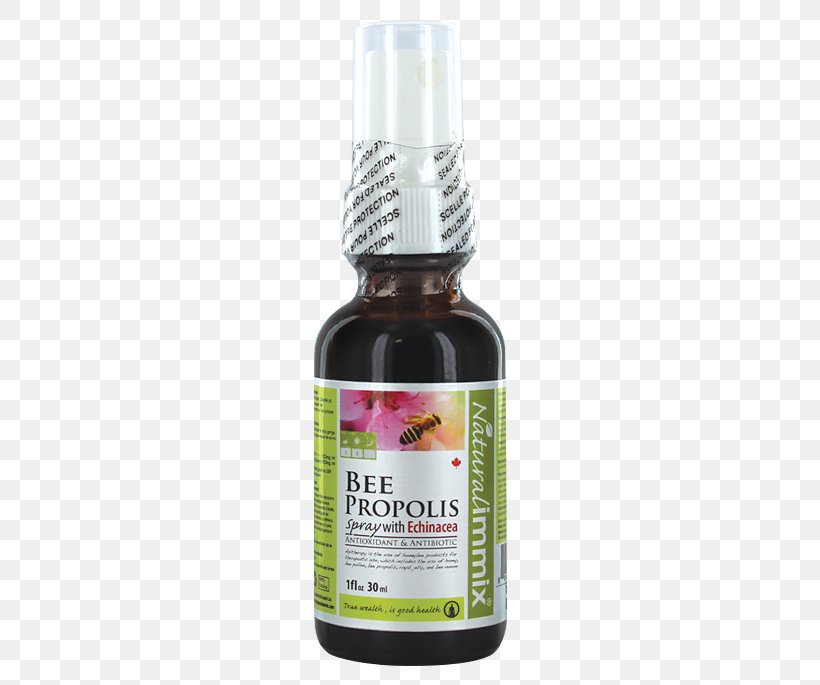 Propolis Royal Jelly Bee Vitamin Capsule, PNG, 449x685px, Propolis, Antioxidant, Bee, Capsule, Coneflower Download Free