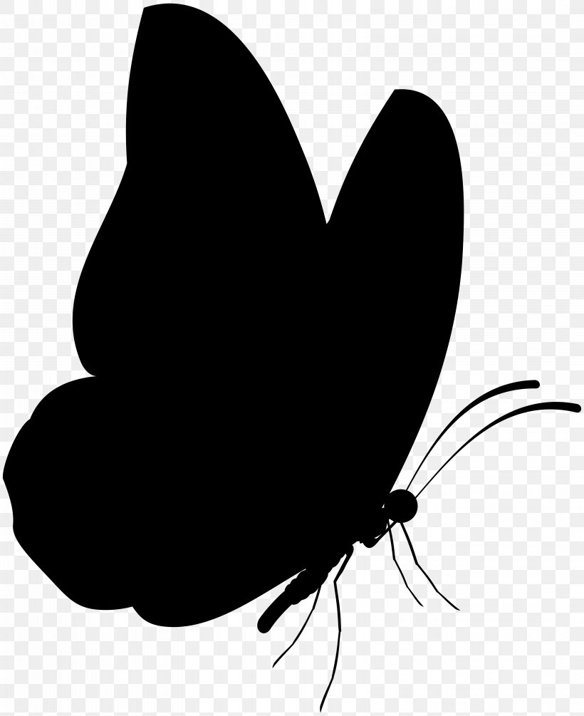Brush-footed Butterflies Black & White, PNG, 6521x8000px, Brushfooted Butterflies, Black White M, Blackandwhite, Butterfly, Fly Download Free