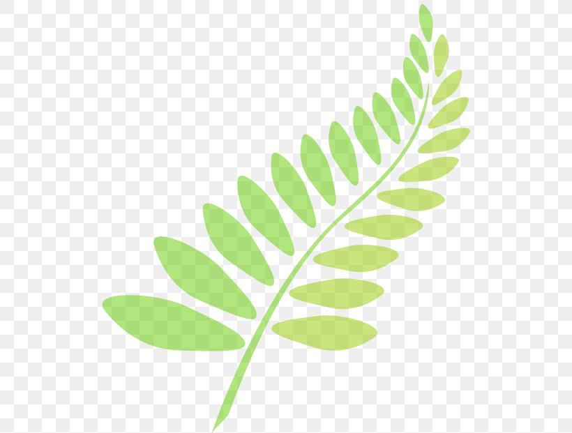Drawing Leaf Jungle Clip Art, PNG, 541x621px, Drawing, Arecaceae, Autumn Leaf Color, Branch, Grass Download Free
