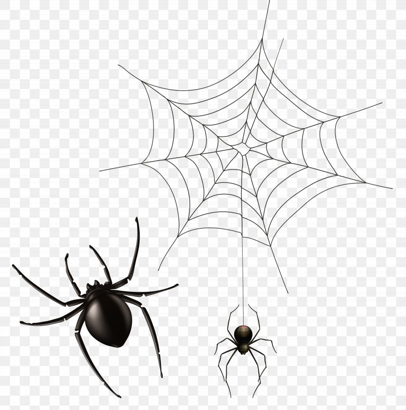 Spider Web Clip Art, PNG, 5087x5148px, Spider, Arachnid, Black And White, Branch, Flora Download Free