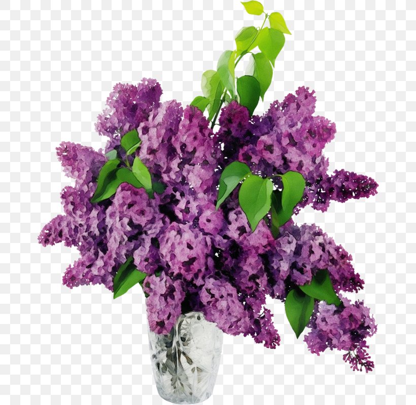 Lavender, PNG, 674x800px, Watercolor, Bouquet, Cut Flowers, Flower, Lavender Download Free