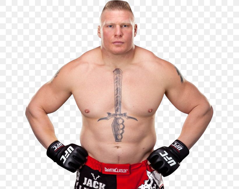 Brock Lesnar UFC 200: Tate Vs. Nunes Martial Arts Professional Wrestler, PNG, 647x649px, Watercolor, Cartoon, Flower, Frame, Heart Download Free