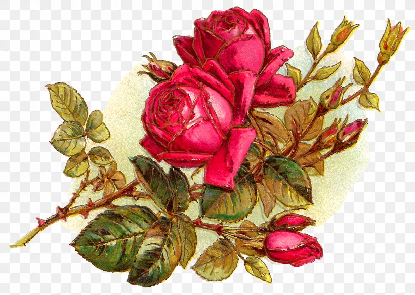 Flower Bouquet Garden Roses Cut Flowers Clip Art, PNG, 1467x1044px, Flower, Artificial Flower, Centifolia Roses, Cut Flowers, Digital Image Download Free