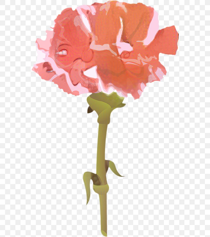 Background Family Day, PNG, 577x927px, Carnation, Color, Cut Flowers, Dianthus, Drawing Download Free