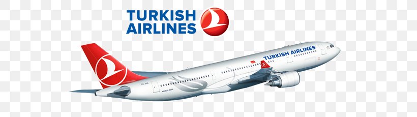 Flight Istanbul Airplane Airbus A330 Airline, PNG, 600x230px, Flight, Aerospace Engineering, Air Travel, Airbus, Airbus A320 Family Download Free