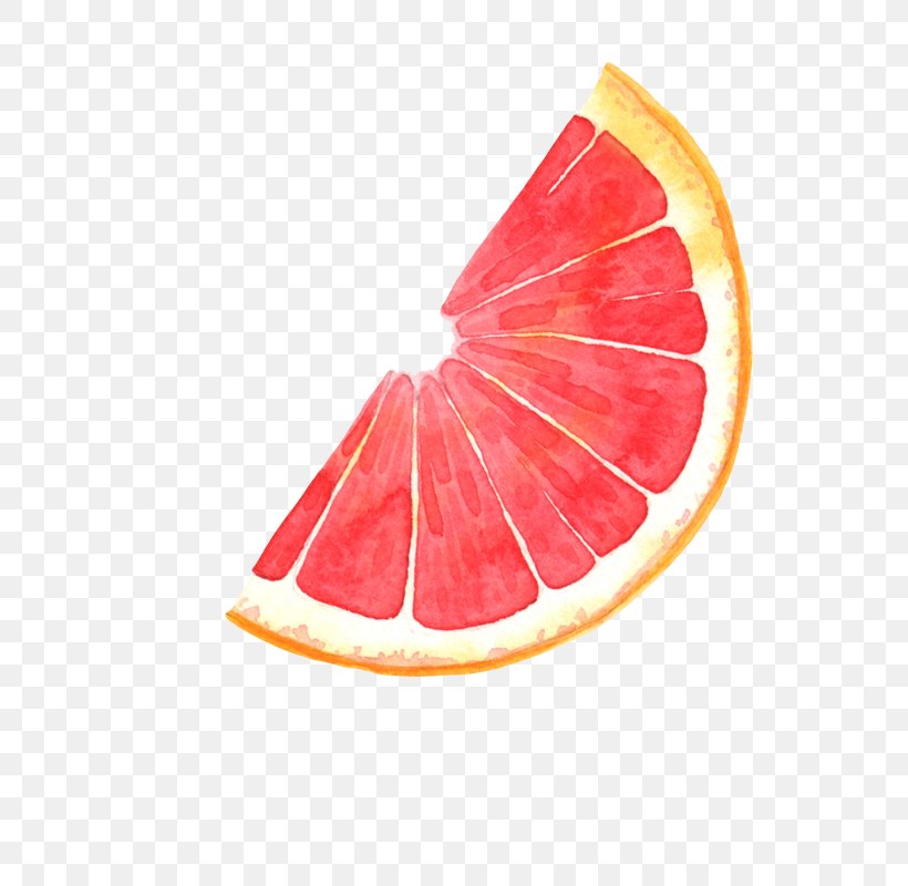 Grapefruit Pomelo Blood Orange Illustration, PNG, 800x800px, Grapefruit, Auglis, Blood Orange, Cartoon, Citric Acid Download Free