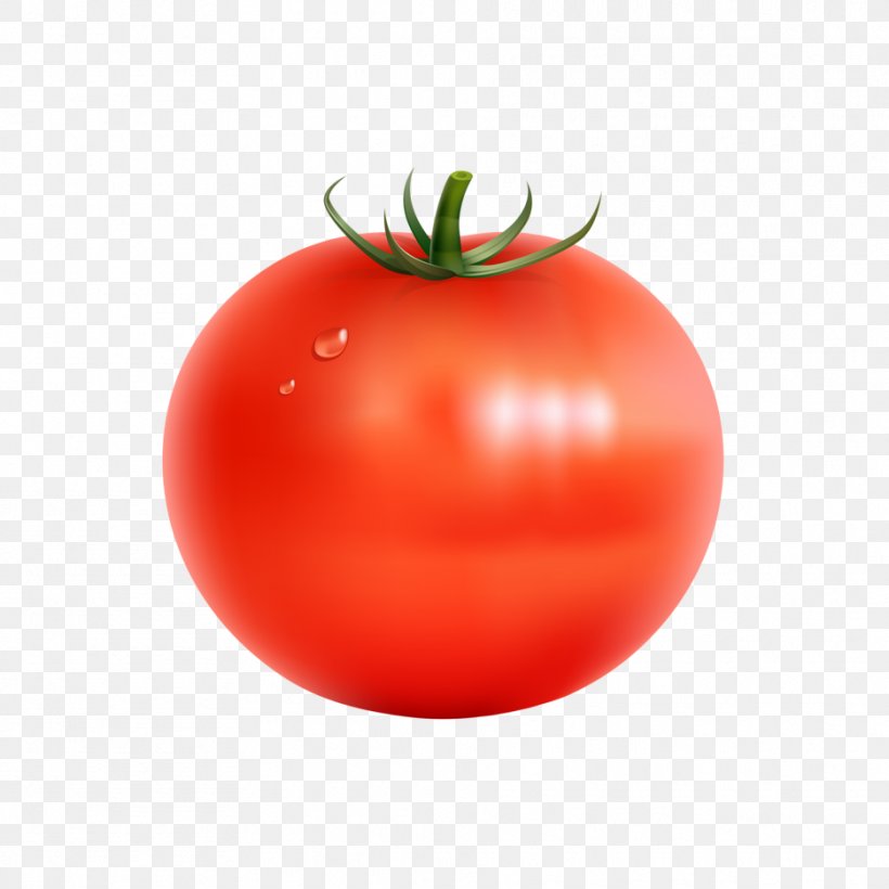 Tomato Clip Art Vector Graphics Salsa Image, PNG, 935x935px, Tomato, Bush Tomato, Cherry Tomatoes, Food, Fruit Download Free