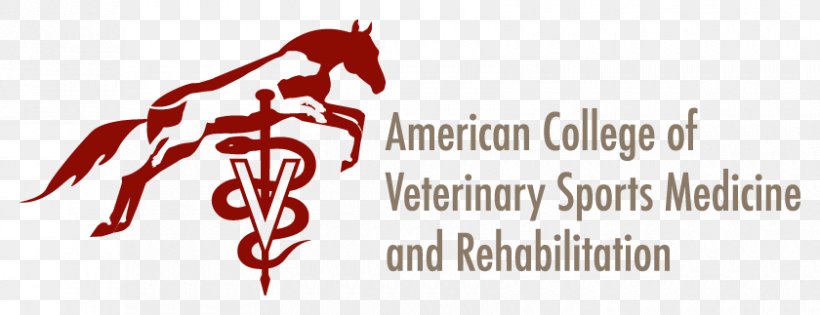 10th International Symposium On Veterinary Rehabilitation And Physical Therapy Sports Medicine Physical Medicine And Rehabilitation Horse, PNG, 840x323px, Watercolor, Cartoon, Flower, Frame, Heart Download Free