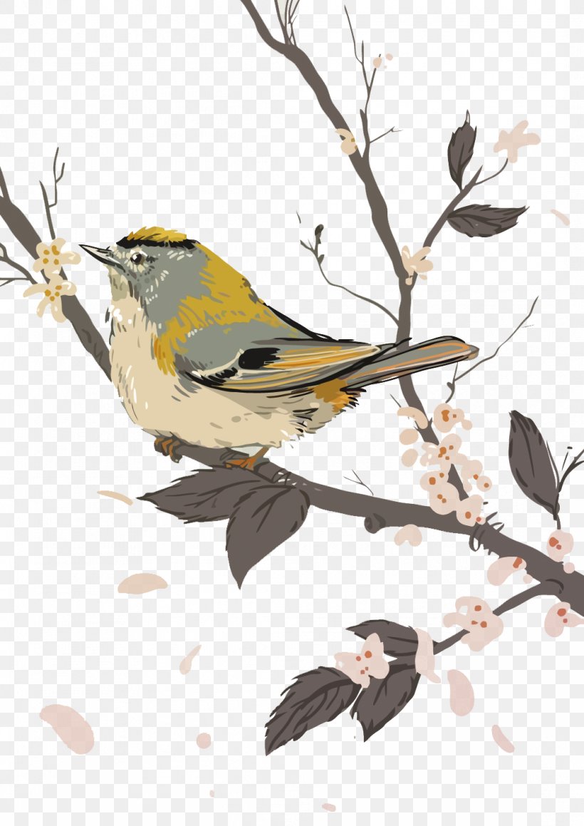 Bird-and-flower Painting Watercolor Painting Illustration, PNG, 1061x1500px, Bird, Art, Beak, Birdandflower Painting, Branch Download Free