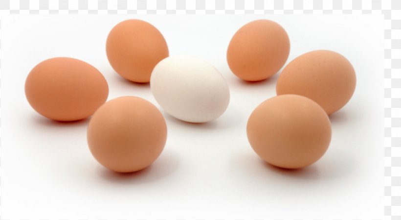 Egg White, PNG, 1038x569px, Egg White, Egg, Ingredient Download Free