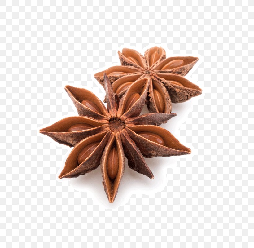 Spice Star Anise Tea Flavor, PNG, 800x800px, Spice, Anise, Depositphotos, Drink, Extract Download Free