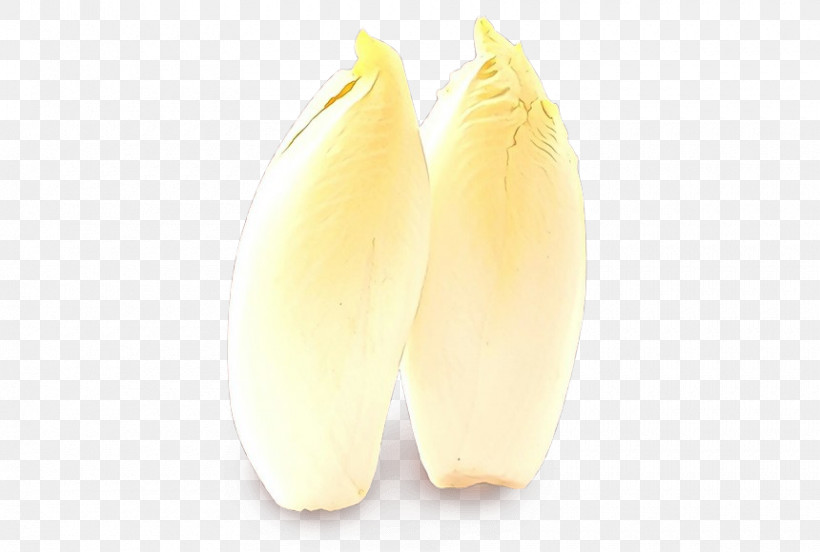 Yellow Plant Endive Vegetable, PNG, 860x579px, Yellow, Endive, Plant, Vegetable Download Free