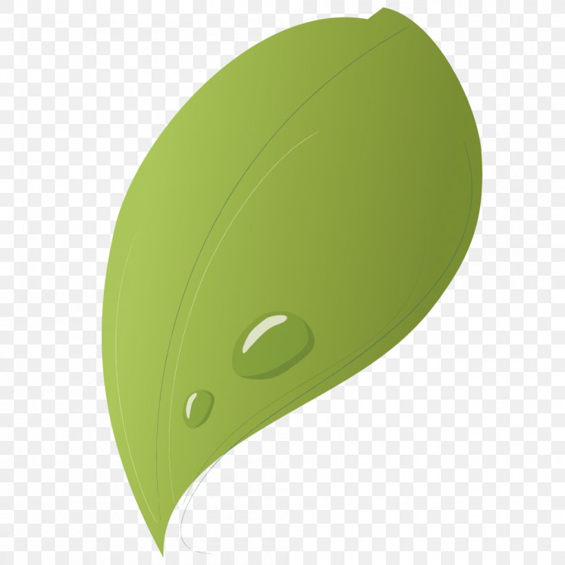 Green Drop Leaf, PNG, 1000x1000px, 3d Computer Graphics, Green, Drop, Grass, Leaf Download Free