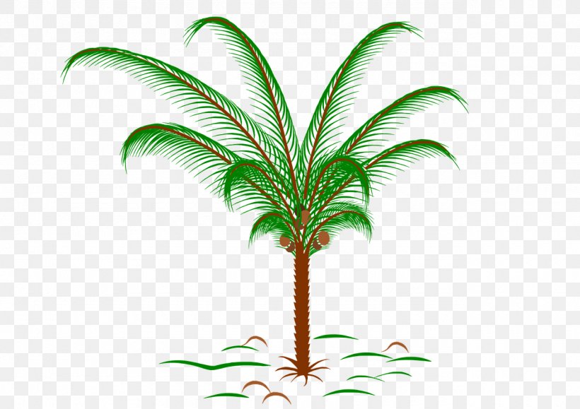Paper Arecaceae Tropics Palm Branch Palm-leaf Manuscript, PNG, 1280x905px, Paper, Arecaceae, Arecales, Drawing, Flowering Plant Download Free