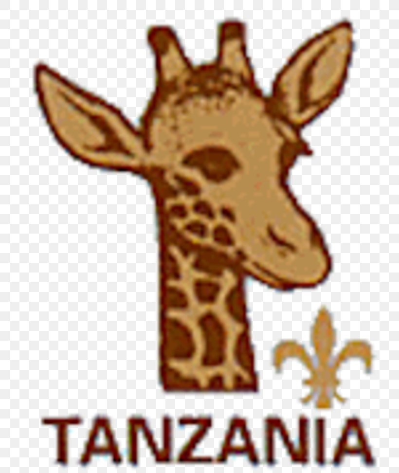 Tanzania Scouts Association Scouting The Scout Association Scout Motto Boy Scouts Of America, PNG, 760x972px, Tanzania Scouts Association, Boy Scouts Of America, Fauna, Giraffe, Giraffidae Download Free