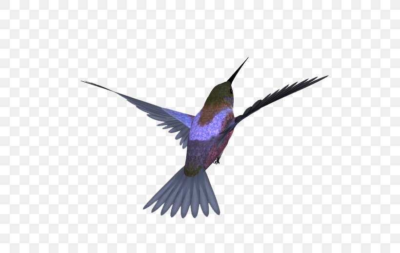 Bird Image Design Download, PNG, 556x520px, Bird, Beak, Blackcapped Kingfisher, Designer, Fauna Download Free