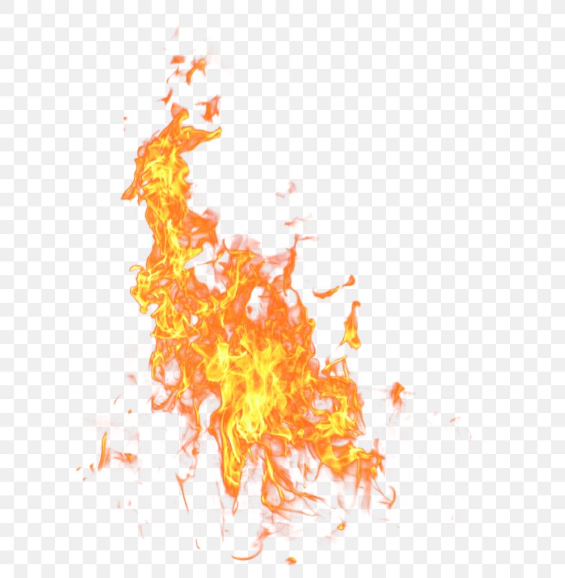 Fire Clip Art, PNG, 630x840px, Fire, Combustion, Display Resolution, Editing, Flame Download Free