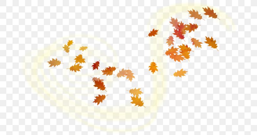 Leaf Clip Art, PNG, 699x432px, Leaf, Autumn, Digital Image, Maple Leaf, Orange Download Free