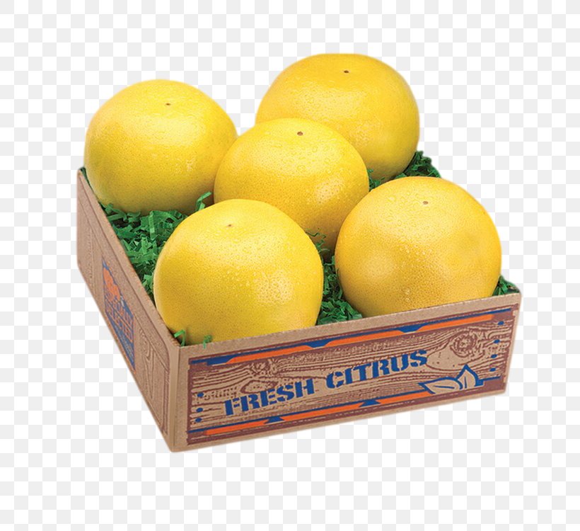 Lemon Grapefruit Tangerine Citrus Junos Orange, PNG, 750x750px, Lemon, Citric Acid, Citrus, Citrus Junos, Florida Download Free