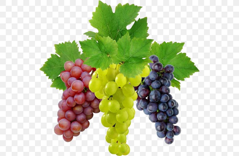 Wine Grape, PNG, 2775x2048px, Common Grape Vine, Berry, Food, Fruit, Grape Download Free