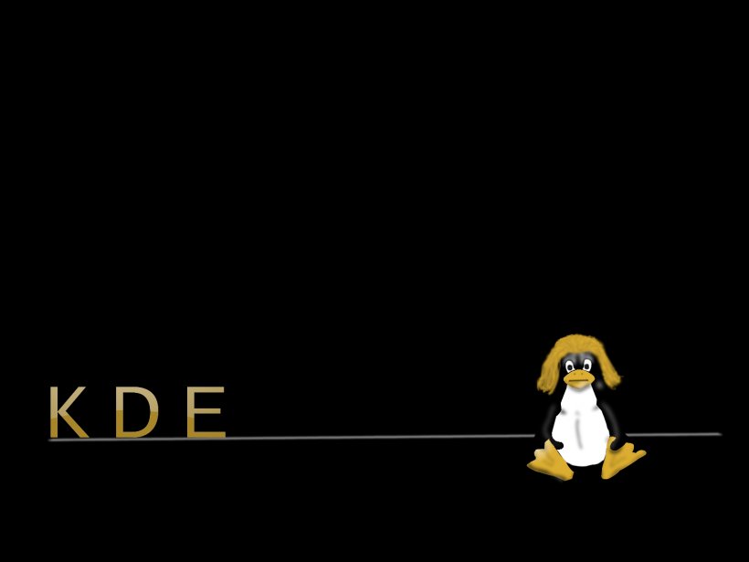 Flightless Bird Penguin Graphic Design, PNG, 1600x1200px, Bird, Beak, Black, Brand, Cartoon Download Free