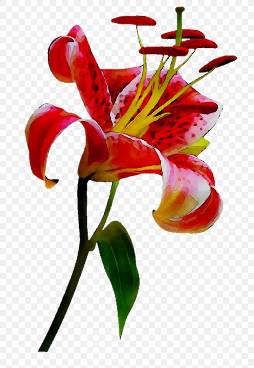 Floral Design Cut Flowers Alstroemeriaceae Plant Stem, PNG, 792x1188px, Floral Design, Alstroemeriaceae, Anthurium, Artificial Flower, Botany Download Free