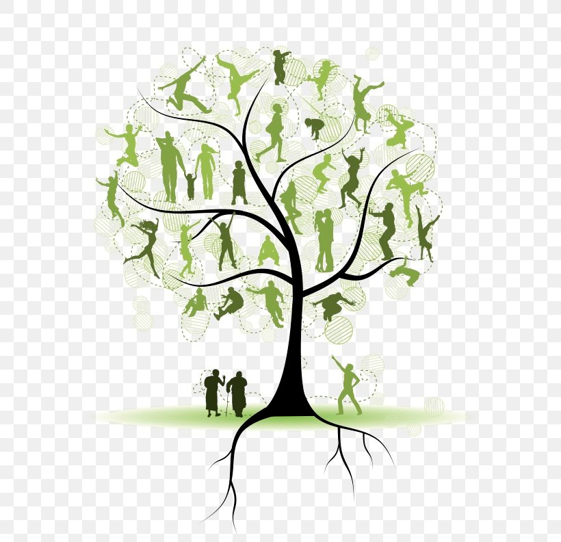 Genealogy Family Tree Ancestor, PNG, 688x792px, Genealogy, Ancestor, Branch, Family, Family Tree Download Free
