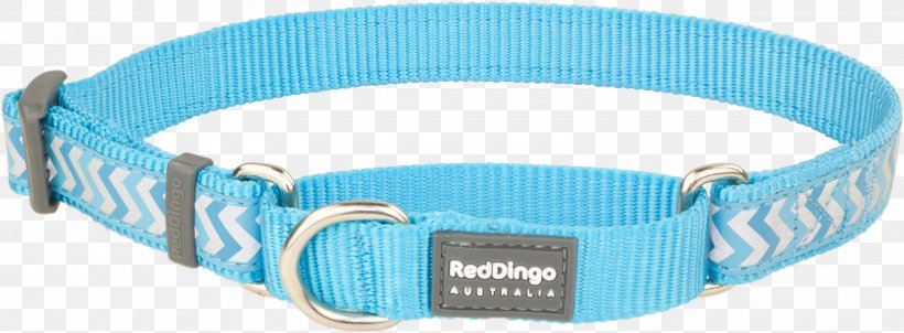 Turquoise Martingale Dog Collar Dingo, PNG, 3000x1106px, Turquoise, Aqua, Azure, Blue, Collar Download Free