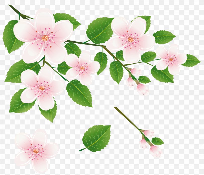 Branch Tree Clip Art, PNG, 4346x3731px, Flower, Blossom, Branch, Cherry Blossom, Floral Design Download Free