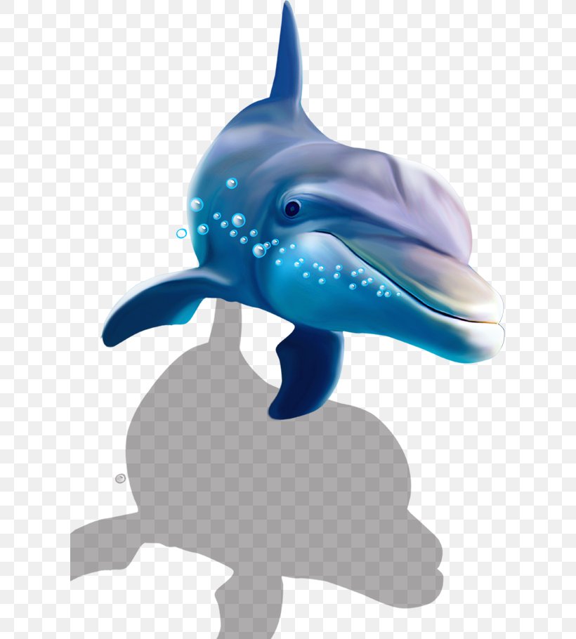 Common Bottlenose Dolphin Shark Wall Decal Wallpaper, PNG, 619x910px, Shark, Bathroom, Bedroom, Cobalt Blue, Common Bottlenose Dolphin Download Free