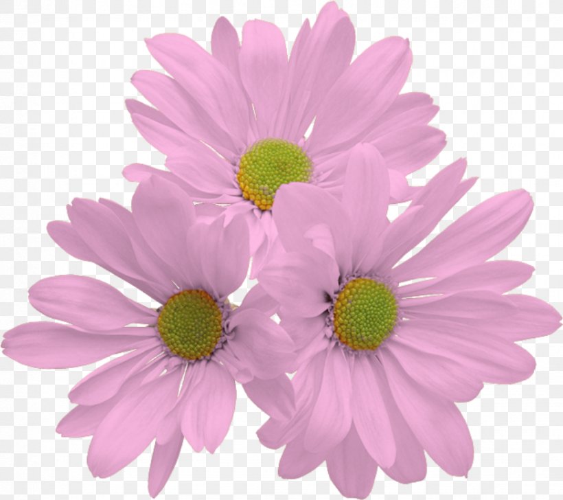 Flower Clip Art, PNG, 875x777px, Flower, Annual Plant, Artificial Flower, Aster, Chrysanths Download Free