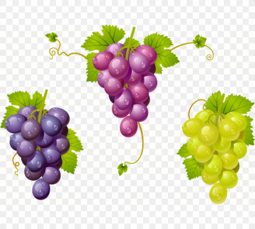 Grape Wine Kyoho La Cura De La Uva Zante Currant, PNG, 1000x900px, Grape, Common Grape Vine, Food, Fruit, Gooseberry Download Free
