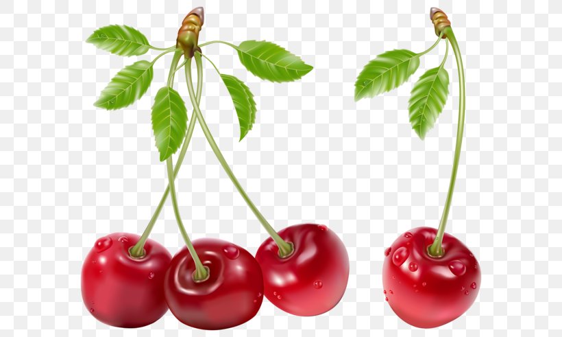 Juice Fruit Cherry Clip Art, PNG, 600x491px, Juice, Acerola, Acerola Family, Apple, Berry Download Free