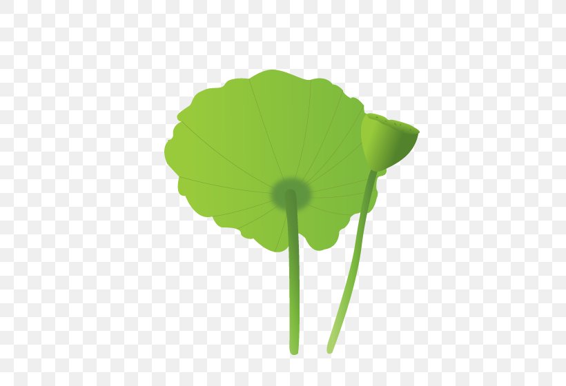 Petal Leaf Plant Stem, PNG, 516x560px, Petal, Flower, Grass, Green, Leaf Download Free