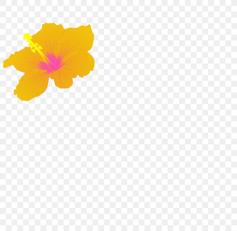 Petal Yellow Hibiscus Pattern, PNG, 800x800px, Petal, Flower, Flowering Plant, Hibiscus, Orange Download Free