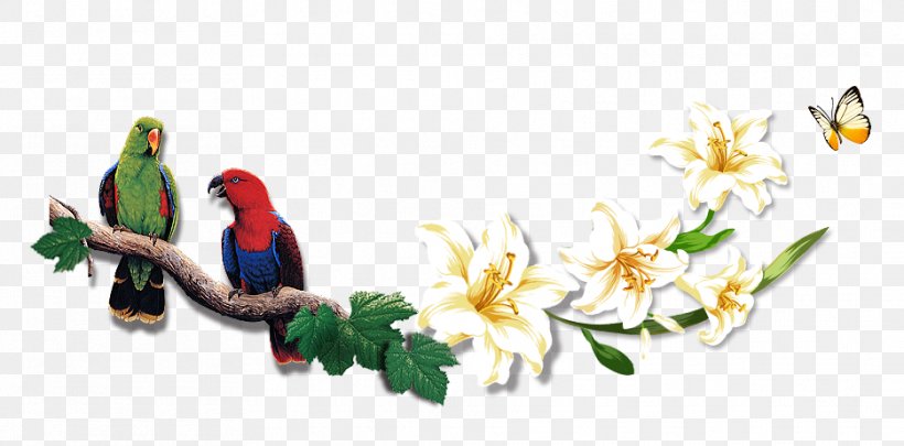Bird Beak Parrot, PNG, 935x462px, Bird, Art, Beak, Branch, Flower Download Free