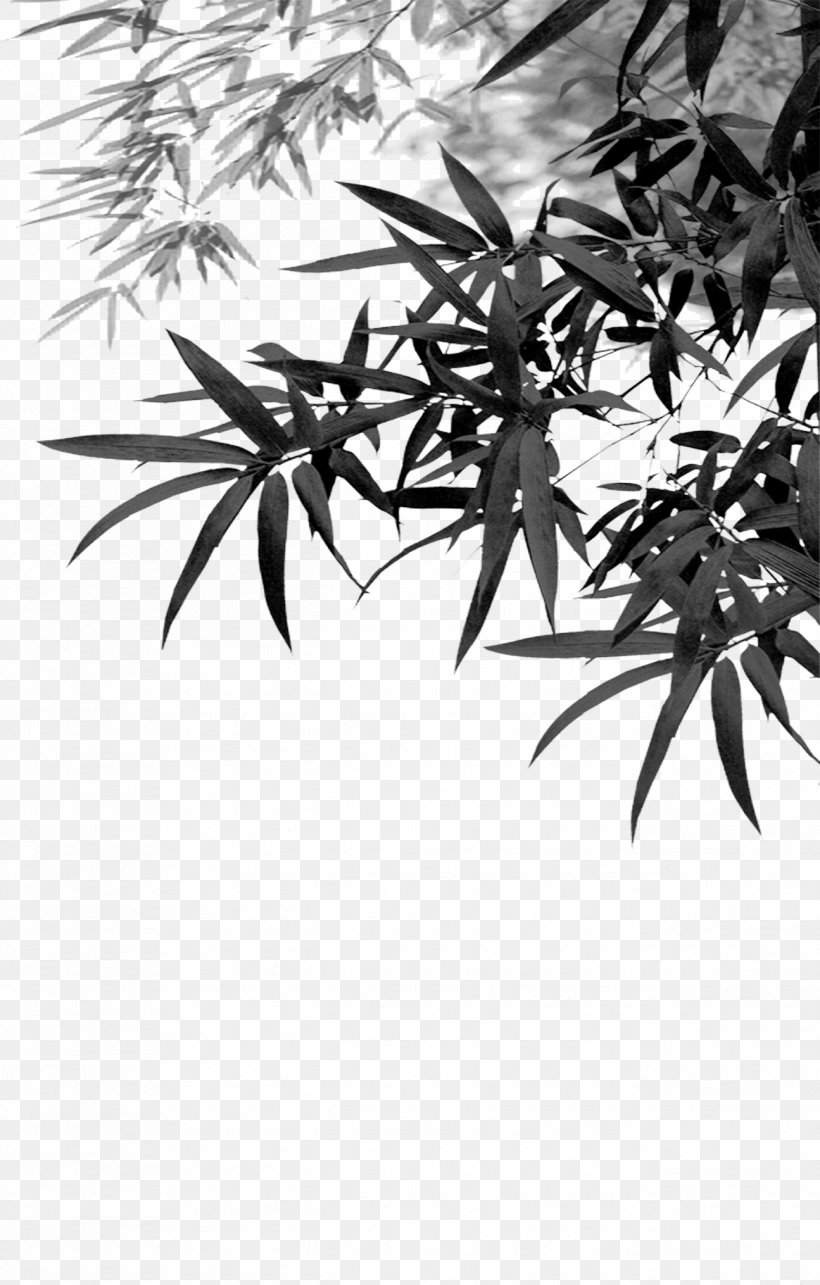 Bamboo Download Computer File, PNG, 1295x2030px, Bamboo, Android, Android Tv, Black And White, Branch Download Free