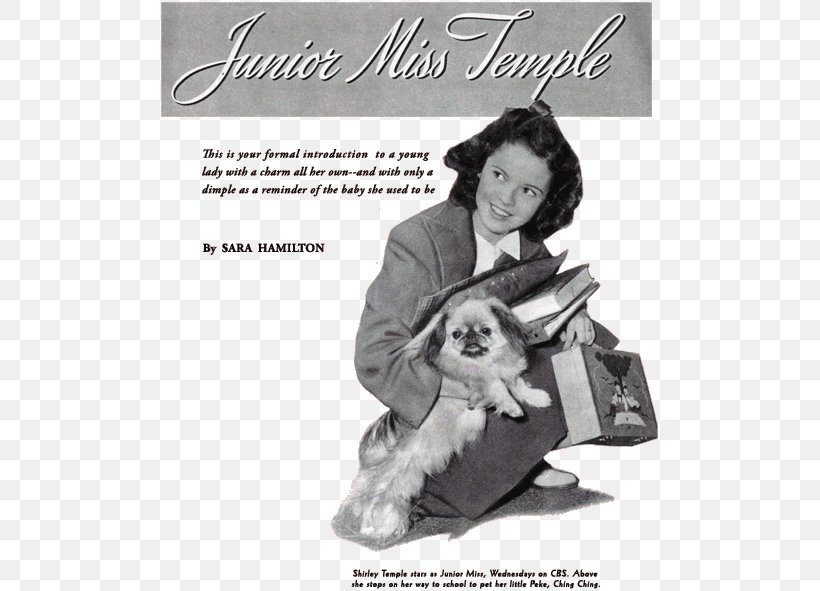 Dog Female Meglin Kiddies Essay Miss Temple, PNG, 500x591px, Dog, Advertising, Annie Dillard, Black And White, Carnivoran Download Free