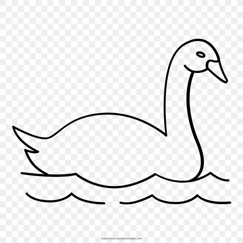 Duck Cygnini Goose Drawing Coloring Book, PNG, 1000x1000px, Duck, Animal, Artwork, Beak, Bird Download Free