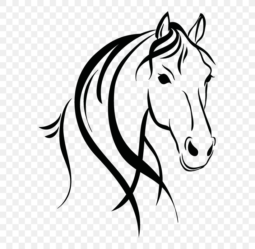 Horse Drawing Clip Art, PNG, 800x800px, Horse, Artwork, Black, Black And White, Bridle Download Free