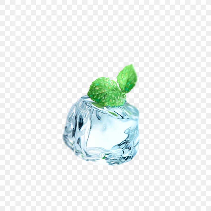 Water Mint Mentha Canadensis Ice Cube, PNG, 2362x2362px, Water Mint, Coreldraw, Green, Ice, Ice Cube Download Free