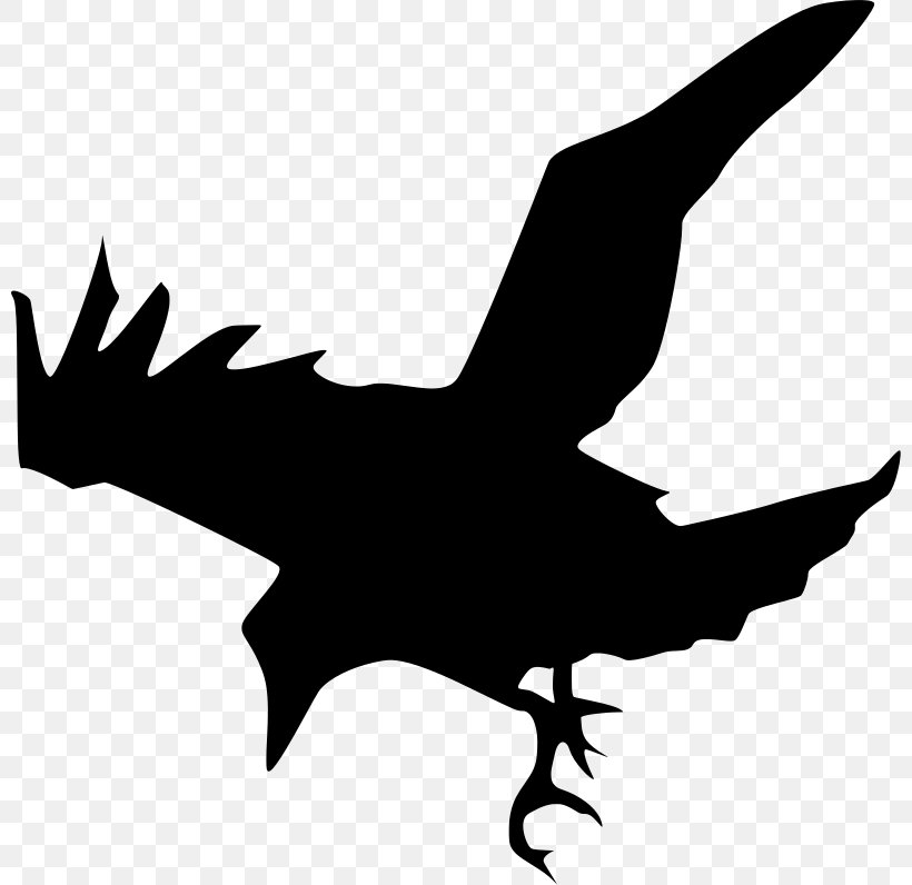 Common Raven Bird Silhouette Clip Art, PNG, 800x796px, Common Raven, Art, Artwork, Beak, Bird Download Free
