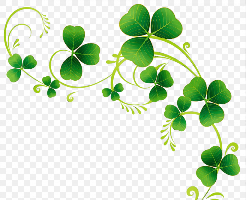 Leaf Plant Flower Symbol Clover, PNG, 1600x1302px,  Download Free