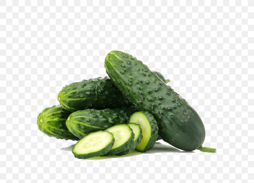 Pickled Cucumber Spreewald Gherkins Organic Food Vegetable, PNG, 591x591px, Pickled Cucumber, Armenian Cucumber, Cucumber, Cucumber Gourd And Melon Family, Cucumis Download Free