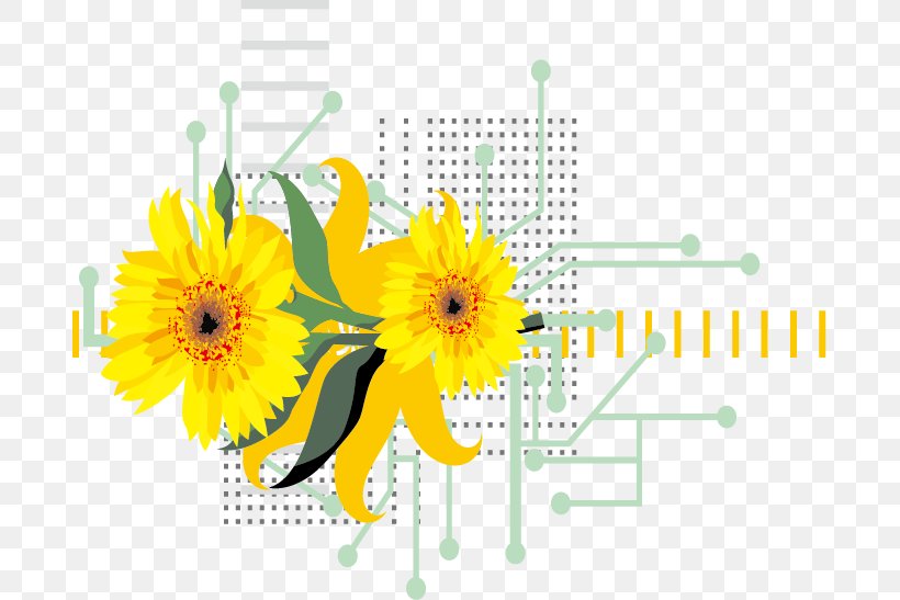 Common Sunflower, PNG, 687x547px, Common Sunflower, Coreldraw, Cut Flowers, Daisy Family, Floral Design Download Free