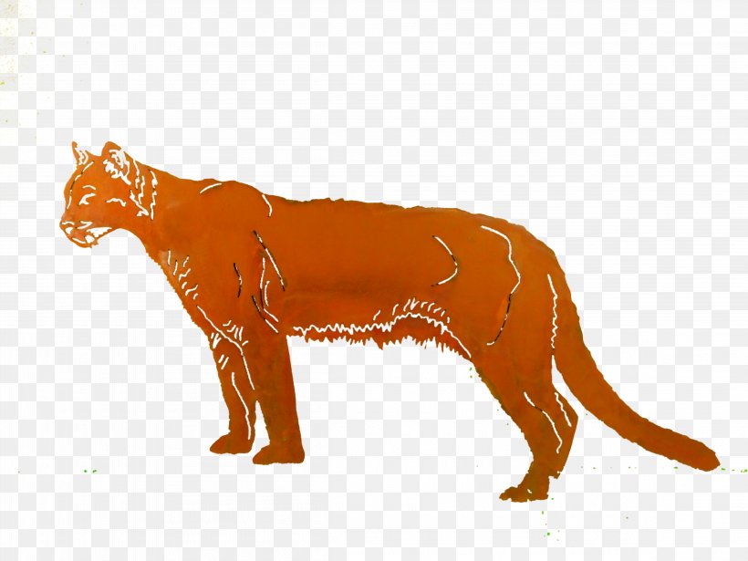 Dog Big Cat Terrestrial Animal Puma, PNG, 4608x3456px, Dog, Animal, Big Cat, Big Cats, Canidae Download Free