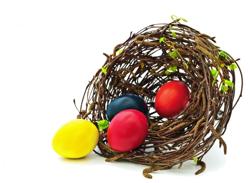Edible Bird's Nest Egg, PNG, 1148x844px, Nest, Bird Nest, Color, Color Motion Picture Film, Data Download Free