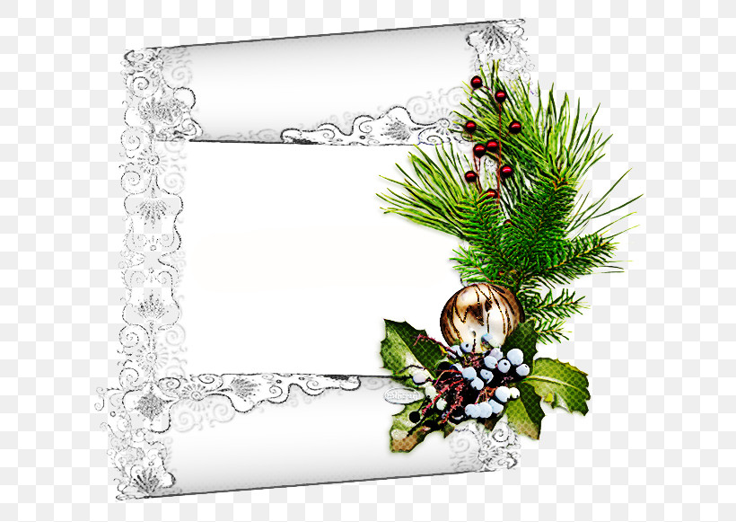 Picture Frame, PNG, 650x581px, Fir, Conifer, Holly, Interior Design, Picture Frame Download Free
