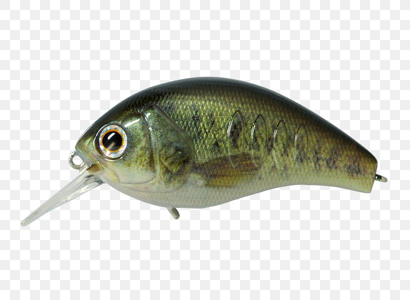 Spoon Lure Oily Fish Korrigan Rod, PNG, 800x600px, Spoon Lure, Bait, Fish, Fishing Bait, Fishing Lure Download Free